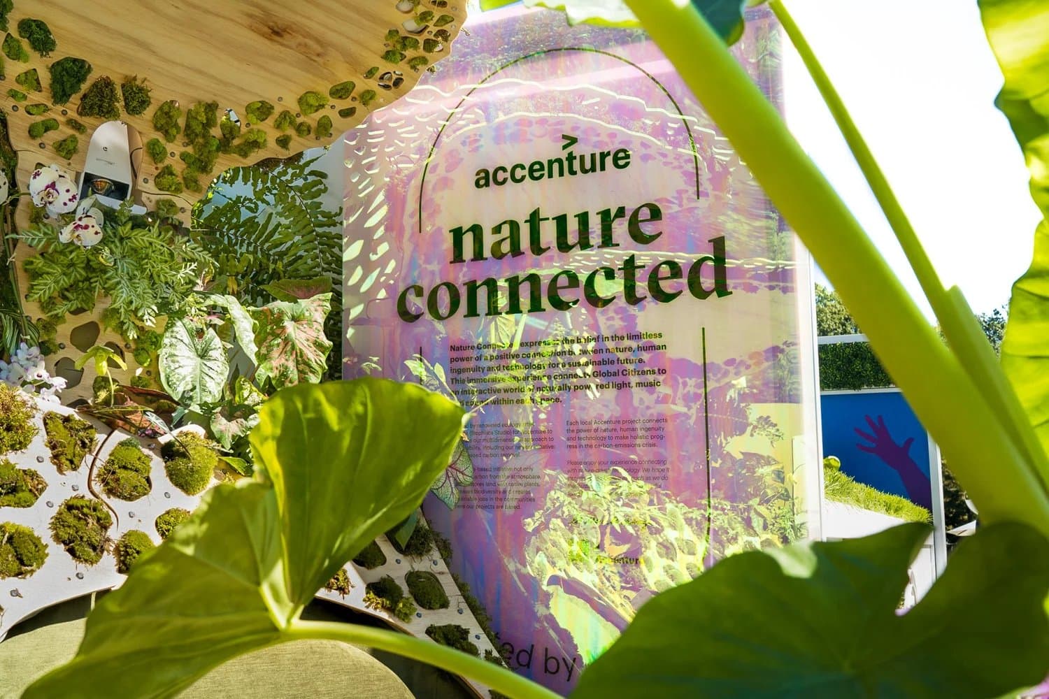 Nature Connected detail 3